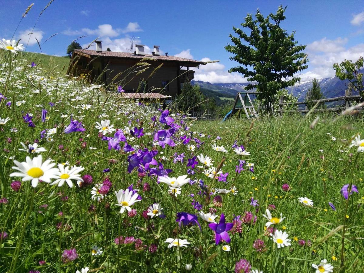 Nestlhof Daire Racines Dış mekan fotoğraf